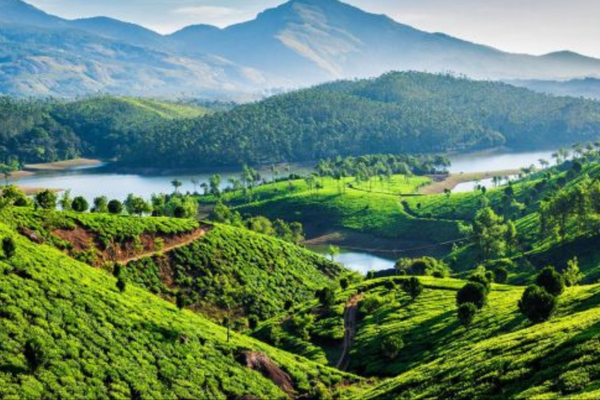 Discover Munnar: Kerala’s Breathtaking Hill Country