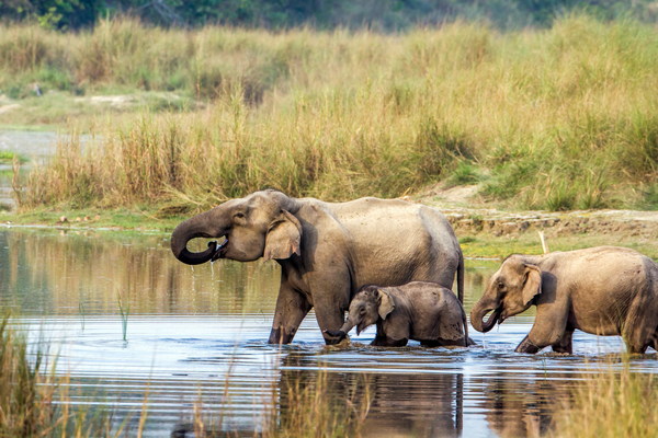 Nepal tour: an unforgettable Pokhara – Chitwan adventure